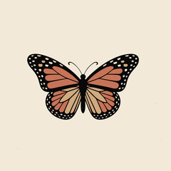 butterfly vector illustration