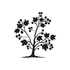 Alder Tree Silhouette Illustration – Black Outline on White Background.
