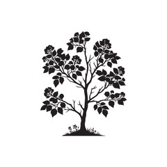 Obraz premium Alder Tree Silhouette Illustration – Black Outline on White Background.