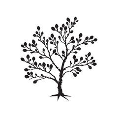 Obraz premium Alder Tree Silhouette Illustration – Black Outline on White Background.