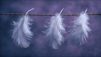 Obraz premium Three delicate white feathers hanging from a thin rope against a soft purple backdrop