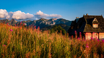 Widoka na tatry z Kośieliska