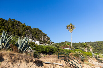 Scenic Mediterranean hillside featuring white villa, tall palm tree, agave plants, and stone steps...