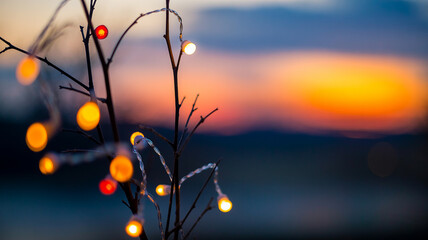 Delicate tree branches with glowing fairy lights against a soft twilight sky string lights illumination