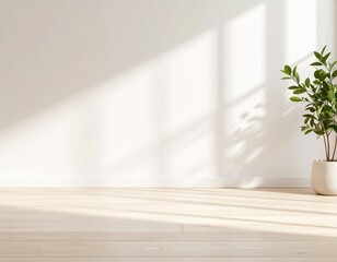 Minimalist White Background with Soft Shadows