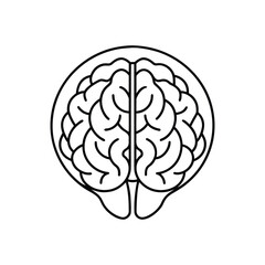 Brain line art, brain line art vector