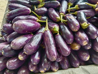 pile of eggplants (small brinjal) stacked in a Cart at greengrocer's shop with selective focus