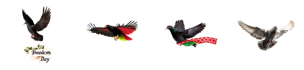 Obraz premium Four birds in flight on a black background with a 