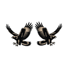 Obraz premium Vintage Flying Eagle Illustration — Aggressive Predator Bird Tattoo and Logo Design Vector