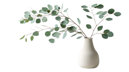 Minimal Vase with Eucalyptus PNG Transparent Isolated Background – Modern Home Decor Object for Interior Design and Branding