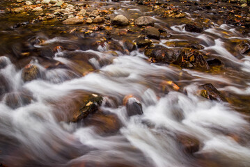 Close-up of cascades on a rocky woodland stream with fallen autu