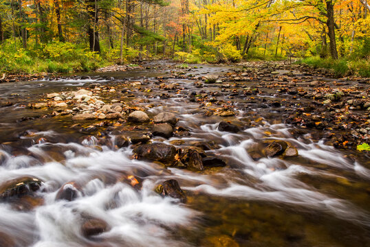 Small cascades on a rocky woodland stream surrounded by fall fol