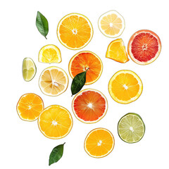 Obraz premium Citrus slices, vibrant colors, various types