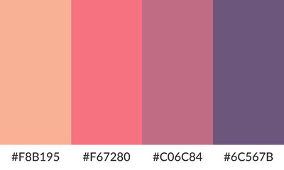 Abstract color palette banner versatile collection of shade and swatch