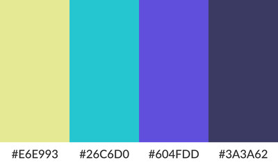 Abstract color palette banner versatile collection of shade and swatch