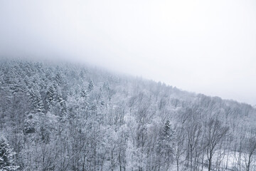 Scenic winter nature view with snowy hills and trees