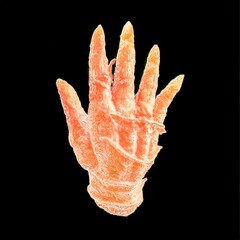 Isolated Buddhas Hand on a transparent background surreal and hyperrealistic crisp vibrant details