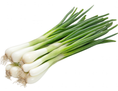 Fresh scallions isolated on transparent background, top view studio shot