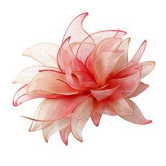 Fascinator png