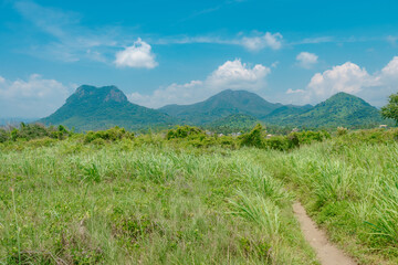 Camino de las montañas 