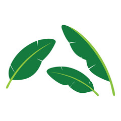 Vibrant Green Banana Leaves Vector Tropical Illustration Design