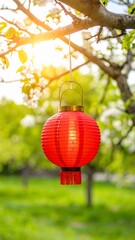 Fototapeta premium Red paper lantern hanging from tree branch red lantern outdoor