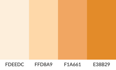 Abstract color palette banner versatile collection of shade and swatch