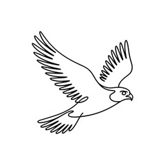 Obraz premium Majestic raptor soaring with outstretched wings bird falcon