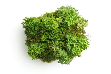 Obraz premium A neatly arranged pile of dried chives, finely chopped and vibrant green, isolated on a clean white background, top-down view