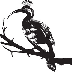Hudhud Bird (Hoopoe) Silhouette on Branch in Black and White