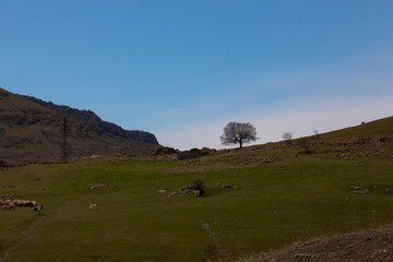 Obraz premium The mountains within the borders of Tunceli province extend in the west-east direction as an extension of the Eastern Taurus Mountains.