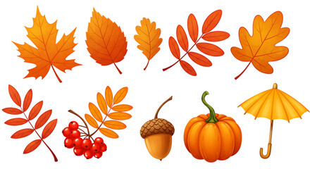 Obraz premium Collection of autumn leaves acorn pumpkin and umbrella isolated on transparent background