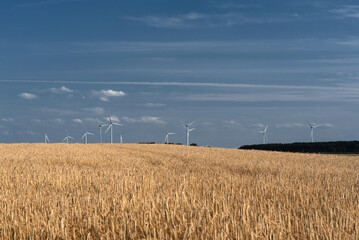COUNTRYSIDE ON A HOT AND SUNNY DAY - A summer landscape with a wind farm in distance and a grain...