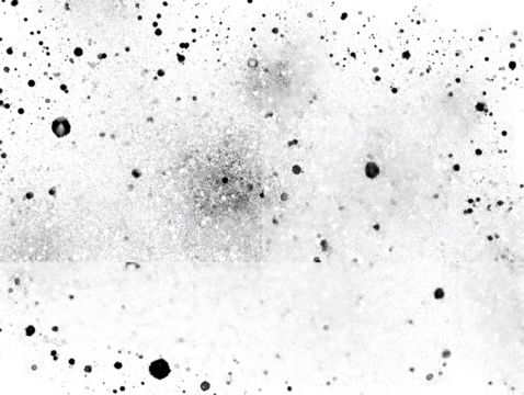 Abstract grayscale splatter