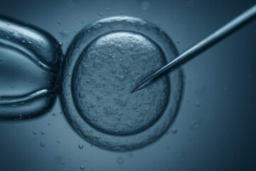 Close-up microscope view of cellular injection for genetic research