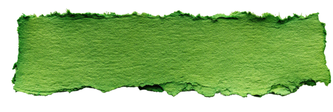 Textured green rectangle graphic