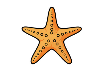 Obraz premium Orange Starfish on Black Background isolated on transparent background
