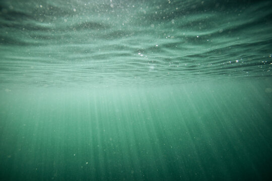 Underwater view of green ocean at surface with rays of light