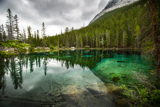 green Grassi Lake with reflection of evergreen trees in the rockies