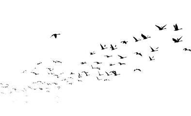 Abstract swirling particles against a black background