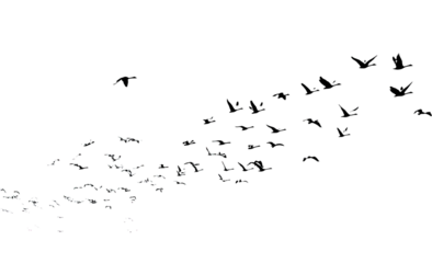 Abstract swirling particles against a black background