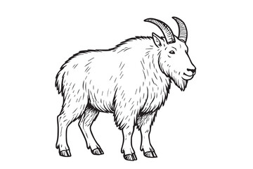 A clean black and white vector of a mountain goat with solid black outlines, representing nature’s resilience, strength, and beauty among steep cliffs and alpine landscapes.