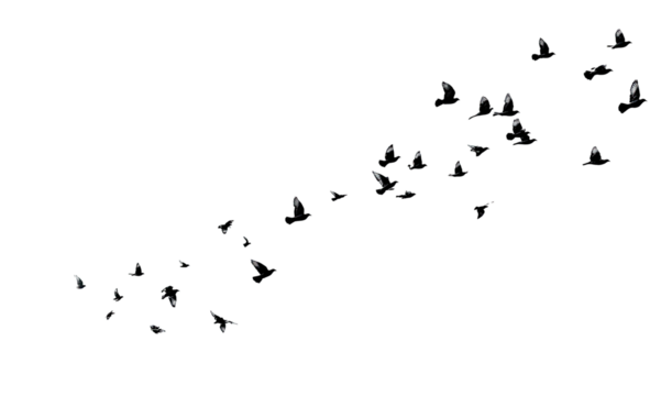 Abstract scattering of small shapes