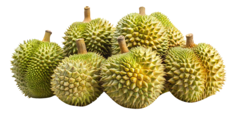 Pile of Fresh Spiky Durian Fruits Isolated on a White Background
