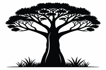Silhouette of an acacia tree with grass below 