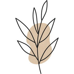 Minimalist plant drawing with beige abstract shape background, simple and elegant design