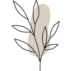 Minimalist botanical line art with abstract beige shape, elegant and simple design