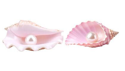 Luxurious sea shell set with pearls and oysters, isolated on white background
