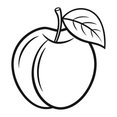 Golden Glow Apricot Fruit – Line Art Vector Illustration on White Background