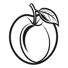 Moorpark Apricot Fruit – Line Art Vector Illustration on White Background